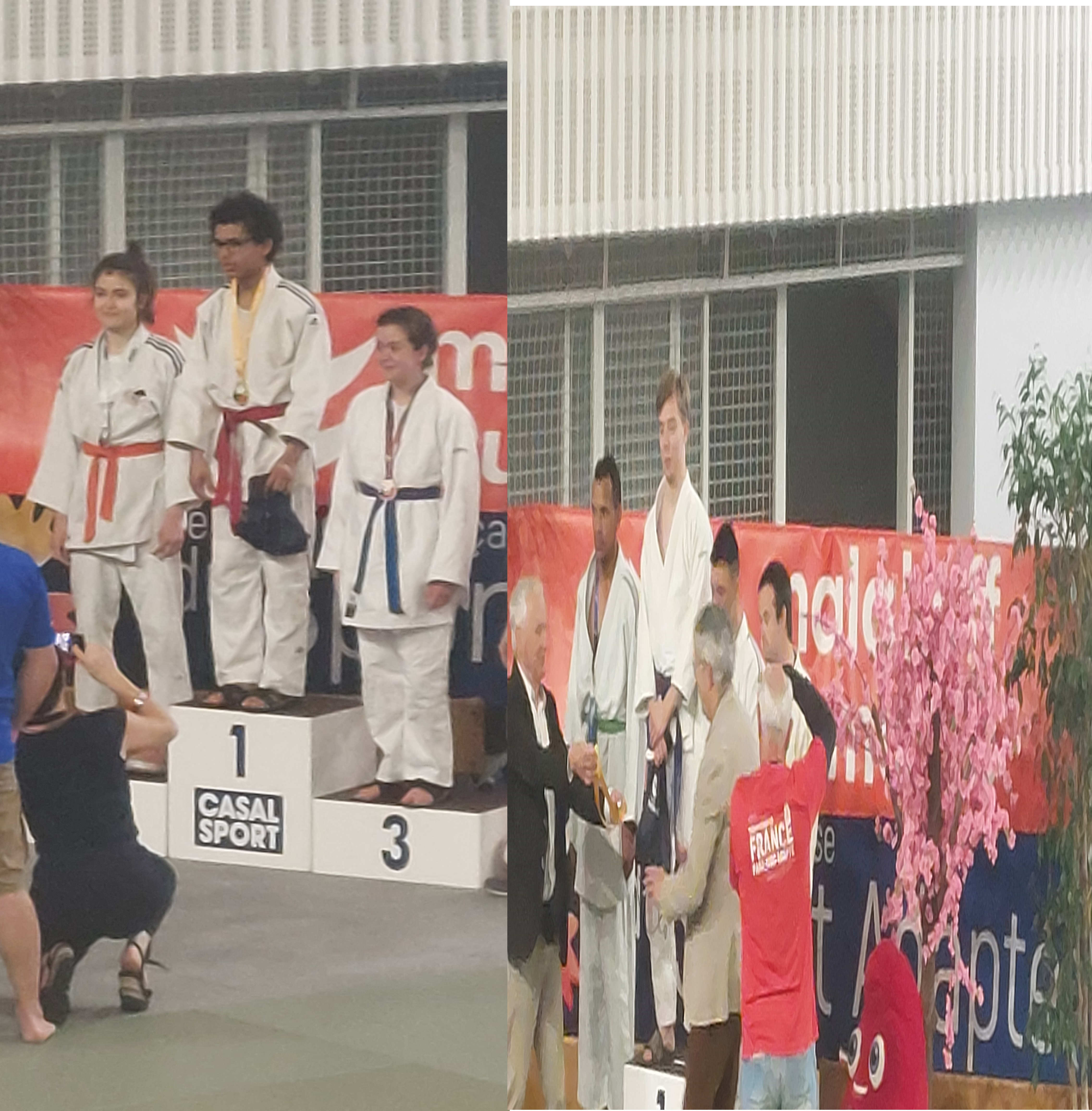 Championnat de France de judo Sport Adapté