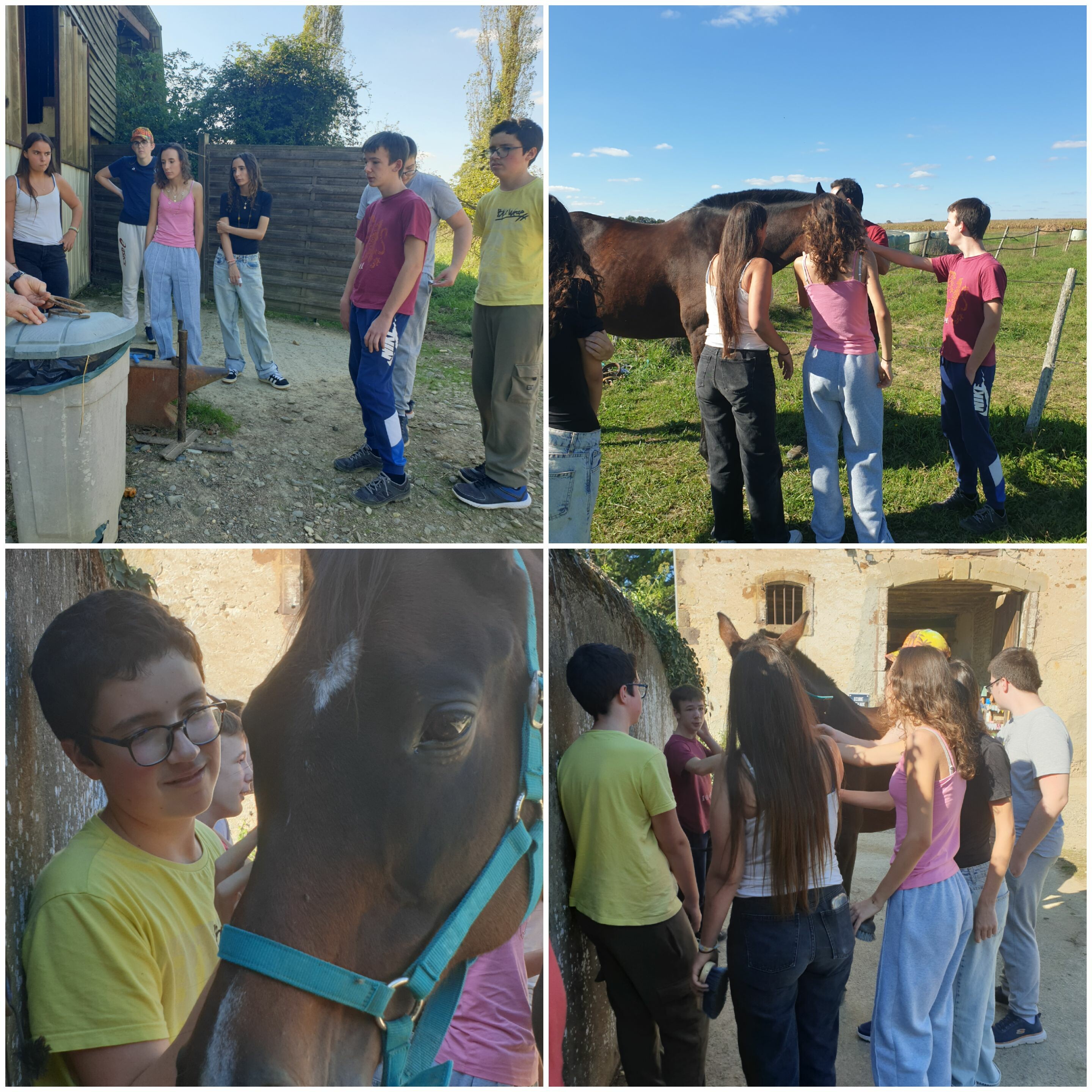 Visite du centre équestre de Vergoignan