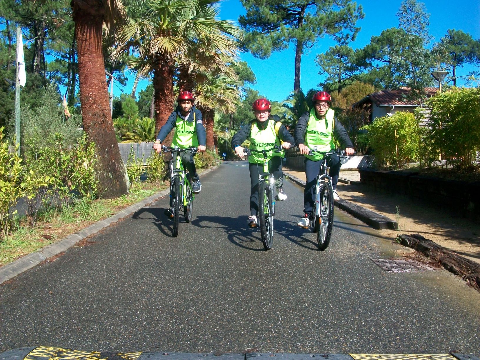 RAID VTT
