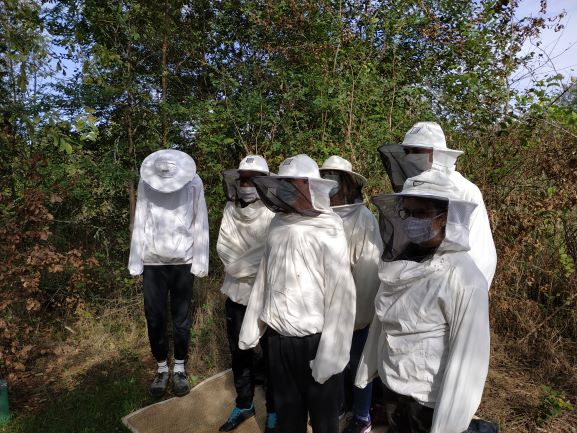 Sortie au jardin et visite du rucher.