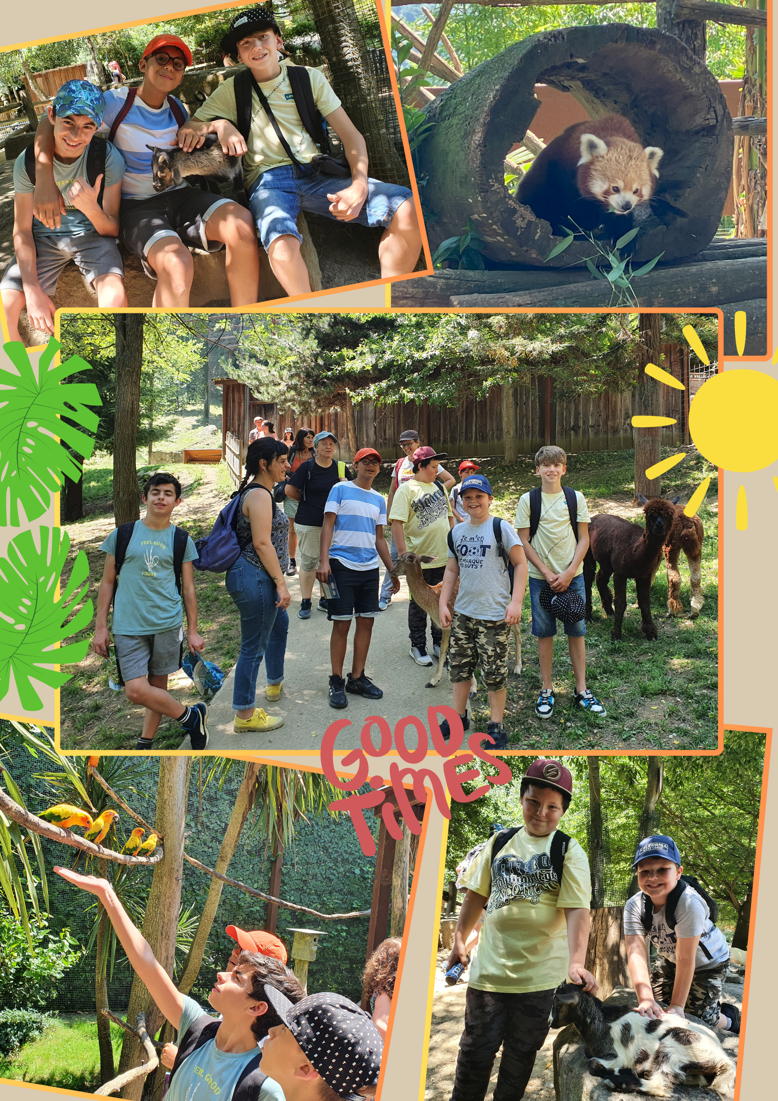 Sortie SESSAD Parc Animalier