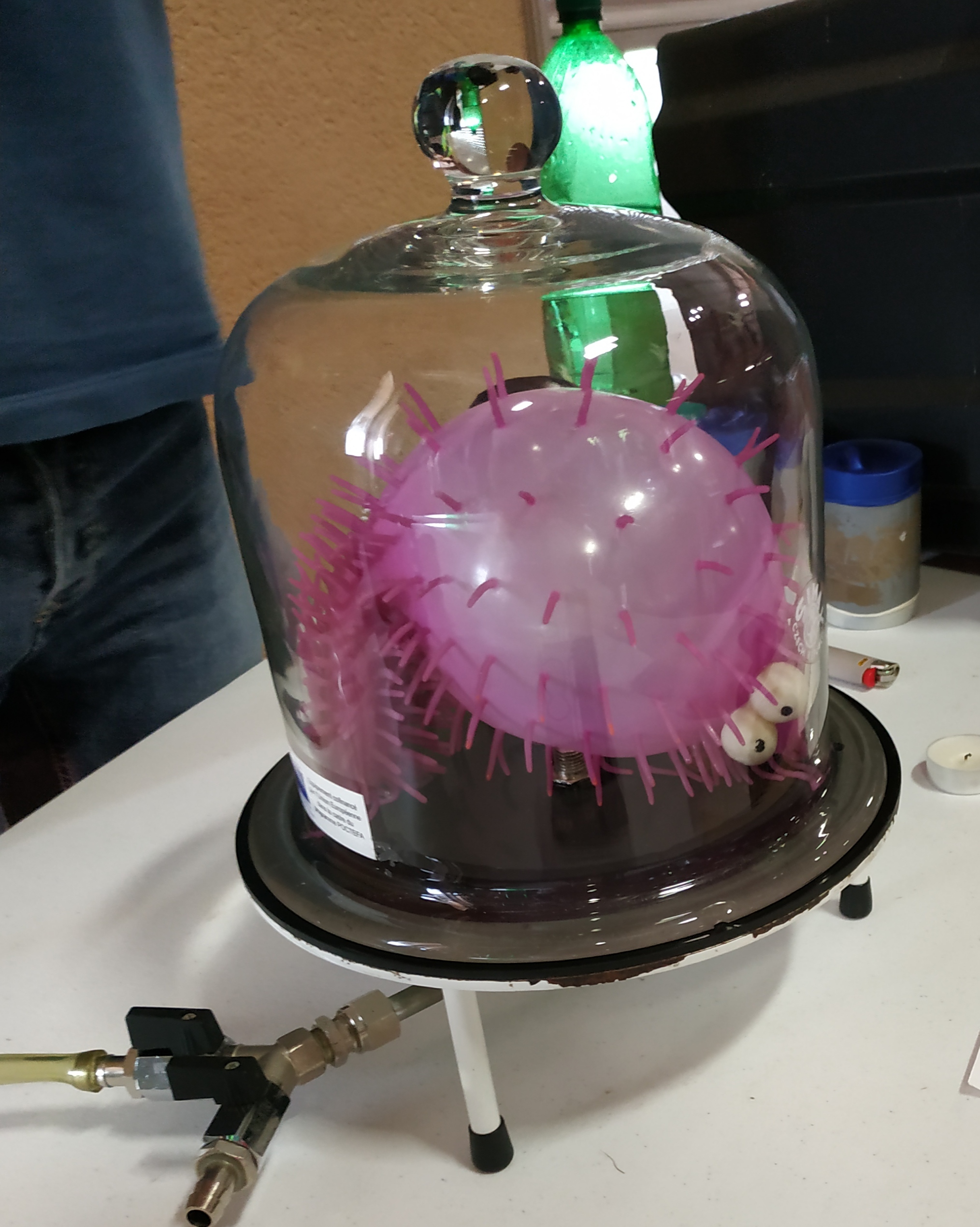 Fête de la science