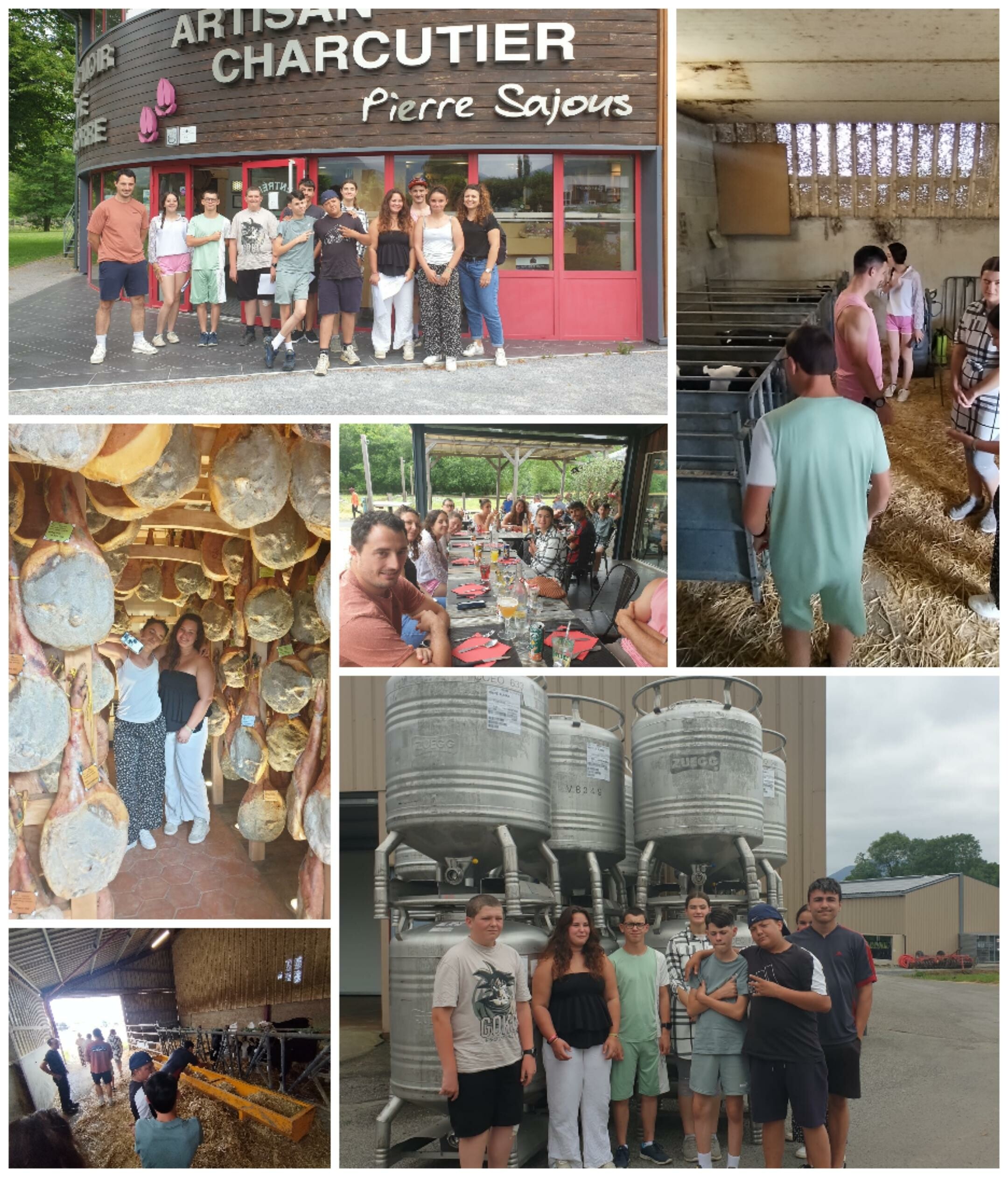 Visite d'entreprise en Bigorre