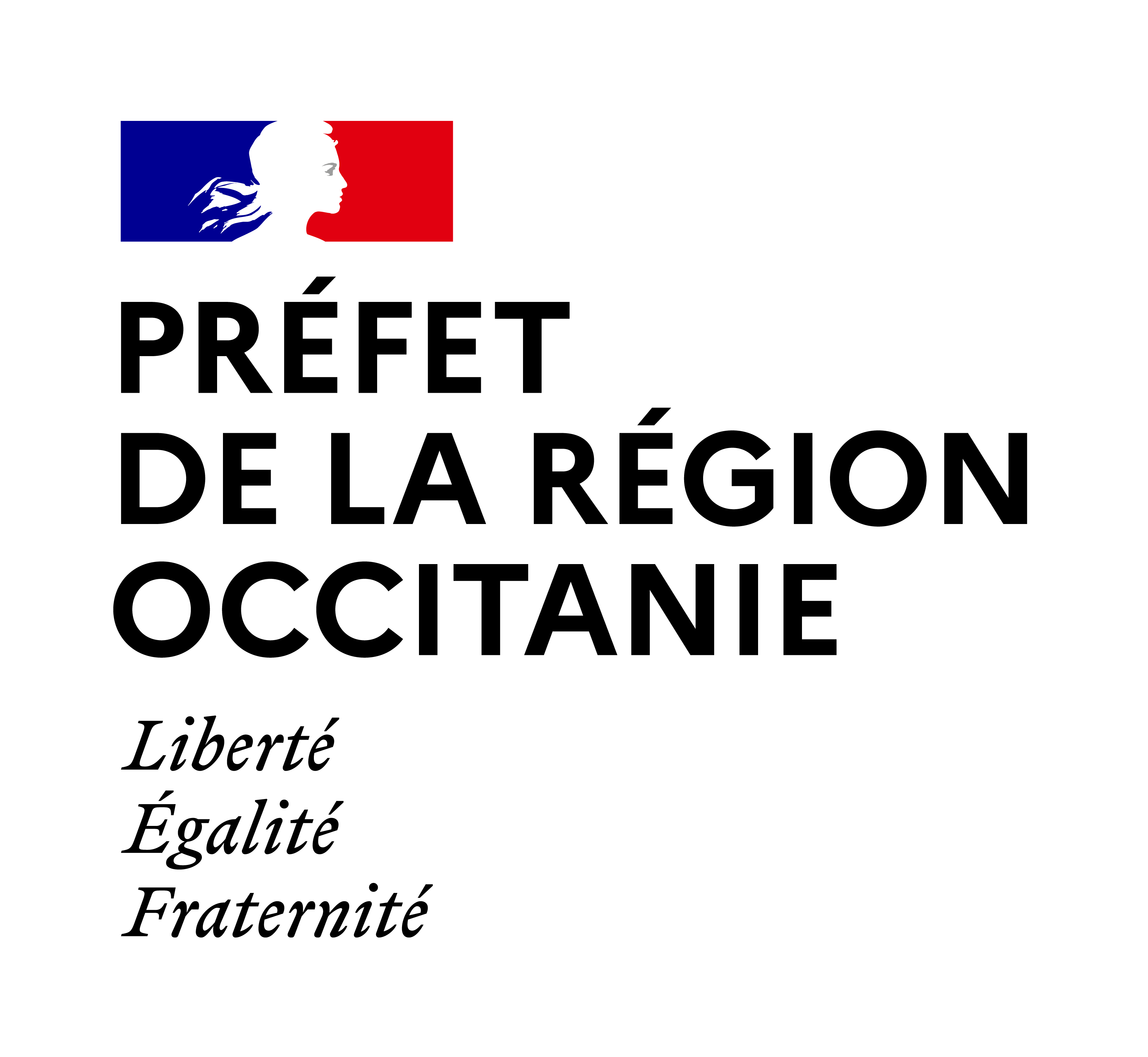 Préfet de région occitanie